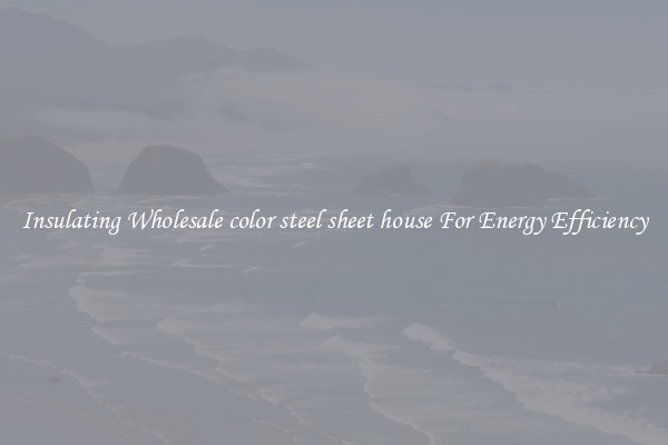 Insulating Wholesale color steel sheet house For Energy Efficiency