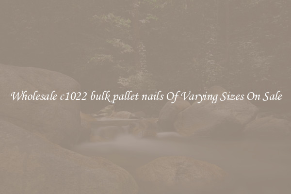 Wholesale c1022 bulk pallet nails Of Varying Sizes On Sale