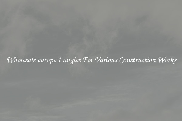 Wholesale europe 1 angles For Various Construction Works