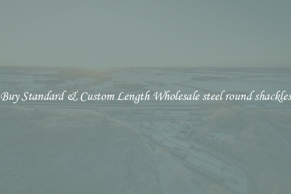 Buy Standard & Custom Length Wholesale steel round shackles