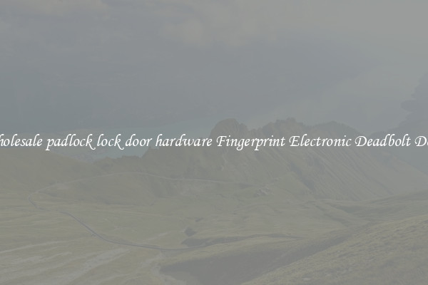 Wholesale padlock lock door hardware Fingerprint Electronic Deadbolt Door 