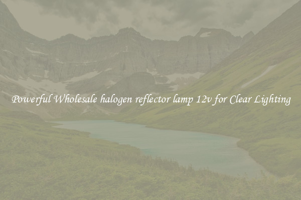 Powerful Wholesale halogen reflector lamp 12v for Clear Lighting