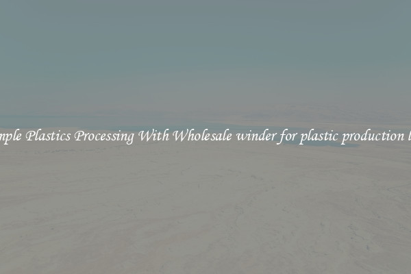 Simple Plastics Processing With Wholesale winder for plastic production line