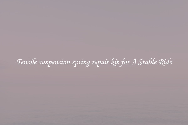 Tensile suspension spring repair kit for A Stable Ride