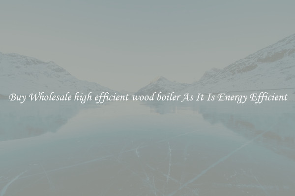 Buy Wholesale high efficient wood boiler As It Is Energy Efficient