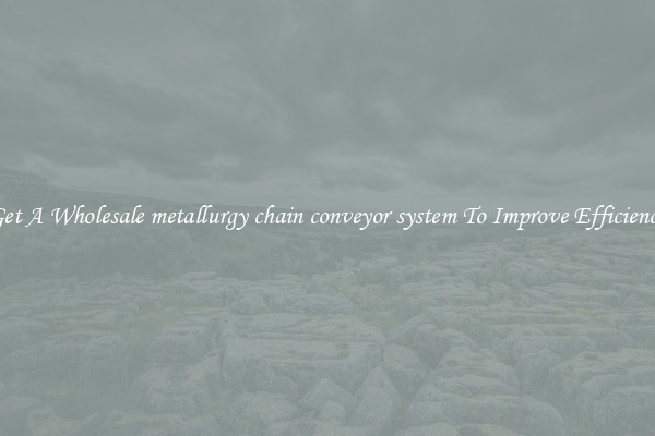 Get A Wholesale metallurgy chain conveyor system To Improve Efficiency