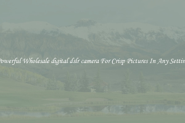 Powerful Wholesale digital dslr camera For Crisp Pictures In Any Setting
