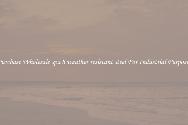 Purchase Wholesale spa h weather resistant steel For Industrial Purposes