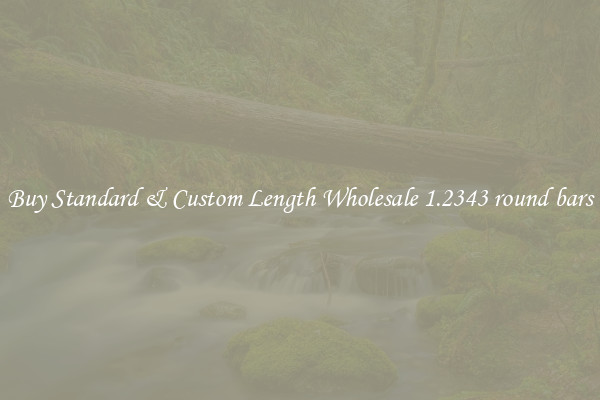 Buy Standard & Custom Length Wholesale 1.2343 round bars