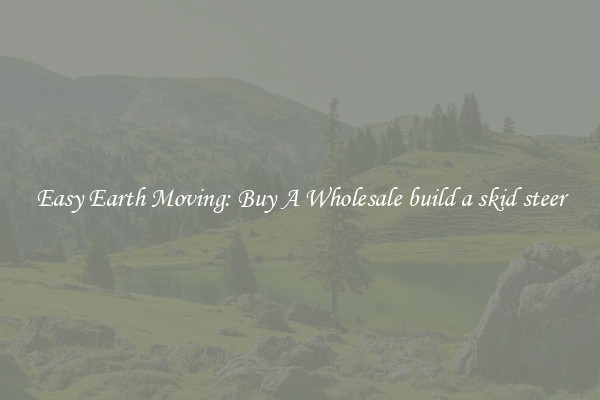 Easy Earth Moving: Buy A Wholesale build a skid steer