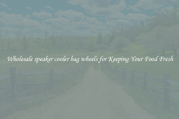 Wholesale speaker cooler bag wheels for Keeping Your Food Fresh