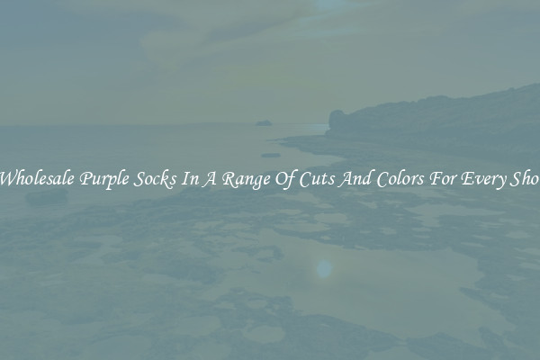 Wholesale Purple Socks In A Range Of Cuts And Colors For Every Shoe