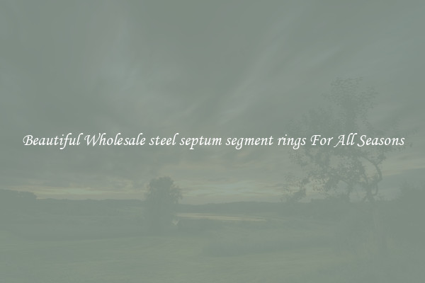 Beautiful Wholesale steel septum segment rings For All Seasons