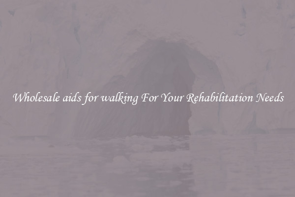 Wholesale aids for walking For Your Rehabilitation Needs