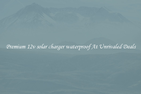Premium 12v solar charger waterproof At Unrivaled Deals