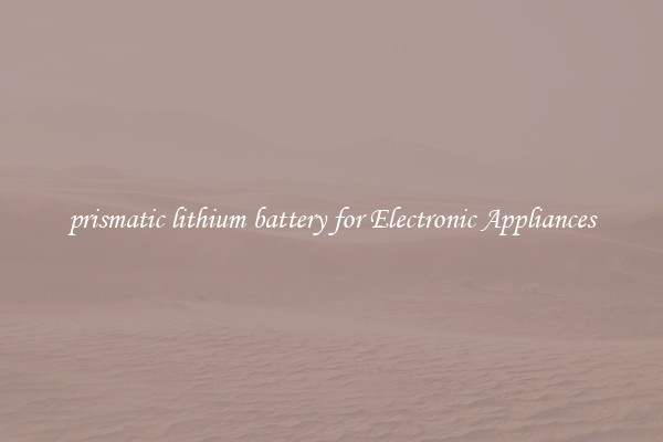 prismatic lithium battery for Electronic Appliances