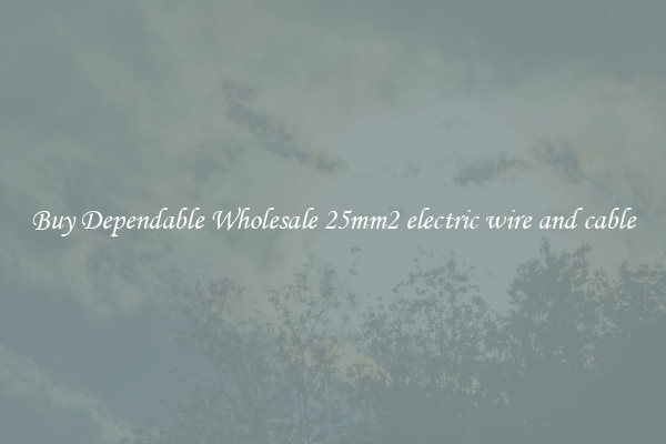 Buy Dependable Wholesale 25mm2 electric wire and cable