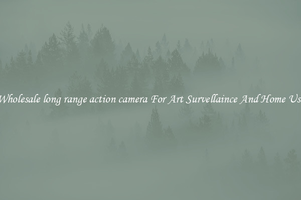 Wholesale long range action camera For Art Survellaince And Home Use